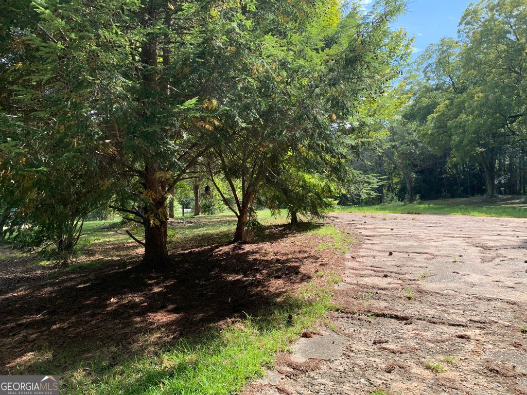 28 Memorial Drive, Eastanollee, GA 30538 — photo 5