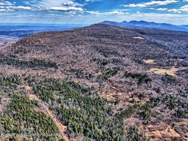 513 County Road 10, Windham, NY 12496