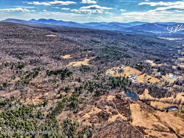 513 County Road 10, Windham, NY 12496