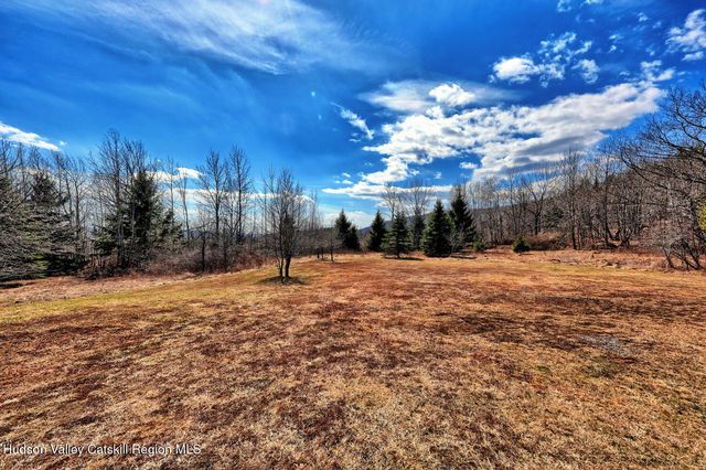 513 County Road 10, Windham, NY 12496