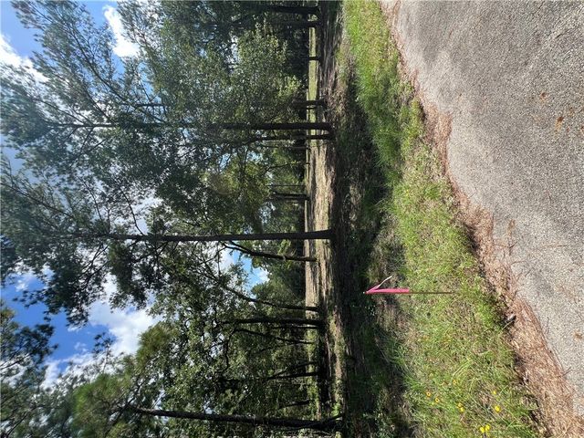 TBD Lot 2 Deerwood Drive, Plantersville, TX 77363