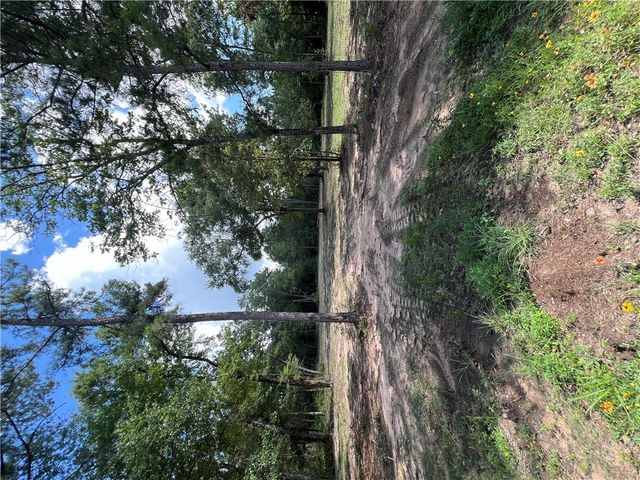 TBD Lot 2 Deerwood Drive, Plantersville, TX 77363
