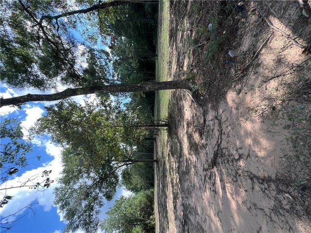TBD Lot 2 Deerwood Drive, Plantersville, TX 77363