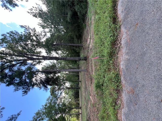 TBD Lot 2 Deerwood Drive, Plantersville, TX 77363