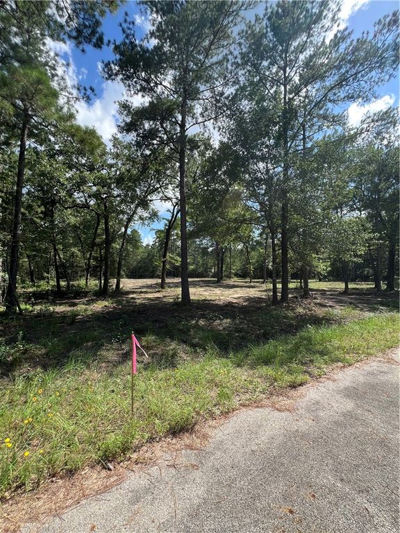 TBD Lot 2 Deerwood Drive, Plantersville, TX 77363 — photo 2