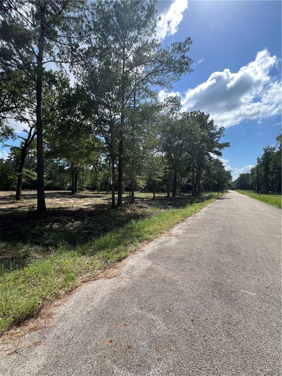TBD Lot 2 Deerwood Drive, Plantersville, TX 77363 — photo 3