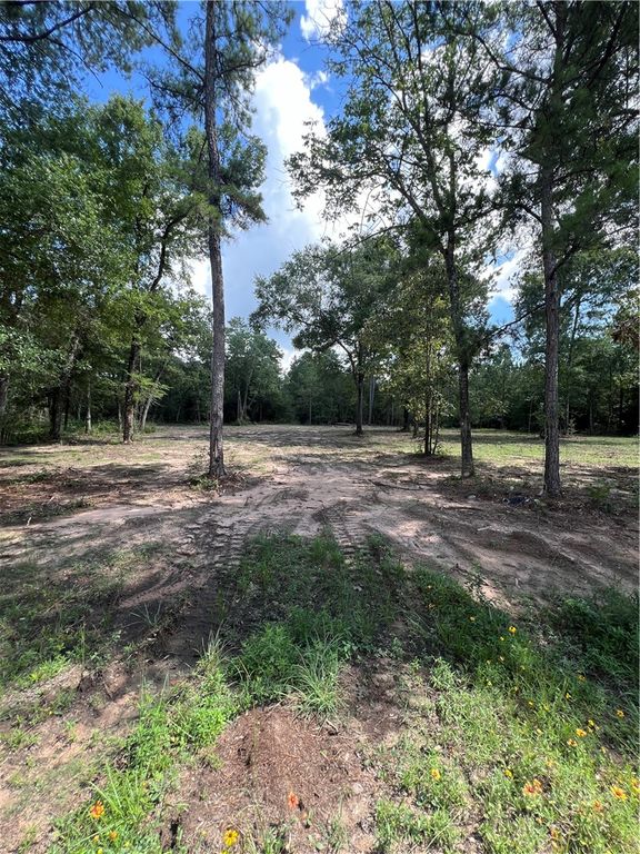 TBD Lot 2 Deerwood Drive, Plantersville, TX 77363 — photo 5