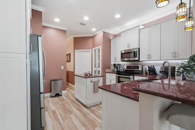 19150 DOVE CREEK DRIVE, Tampa, FL 33647