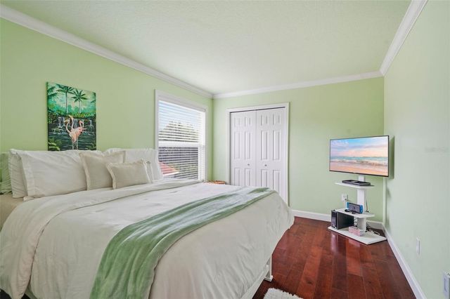 19150 DOVE CREEK DRIVE, Tampa, FL 33647