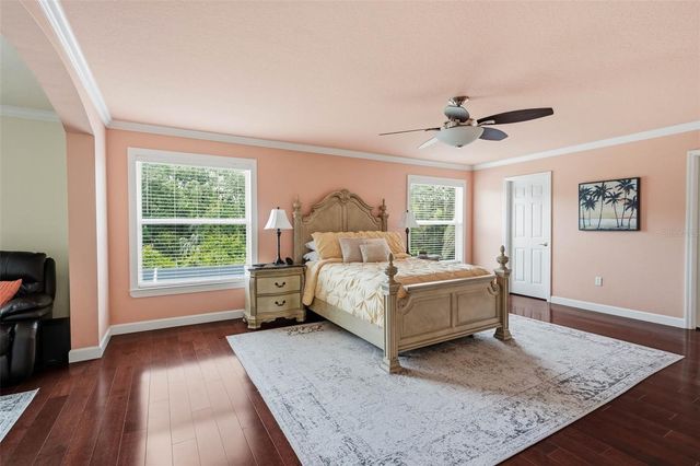 19150 DOVE CREEK DRIVE, Tampa, FL 33647