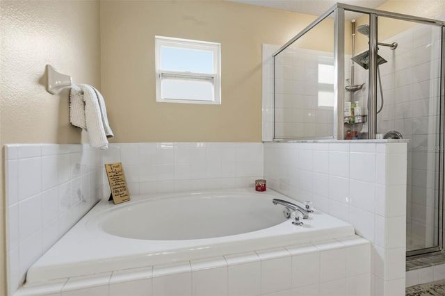 19150 DOVE CREEK DRIVE, Tampa, FL 33647
