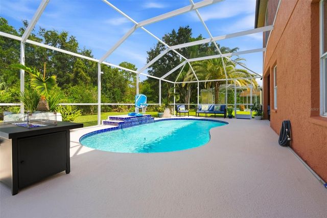 19150 DOVE CREEK DRIVE, Tampa, FL 33647