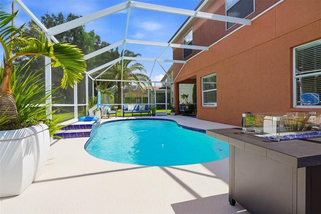 19150 DOVE CREEK DRIVE, Tampa, FL 33647