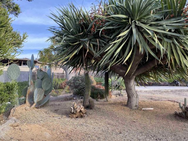 238 Lilac 00, El Cajon, CA 92021