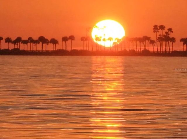 464 N PAULA DRIVE 115, Dunedin, FL 34698