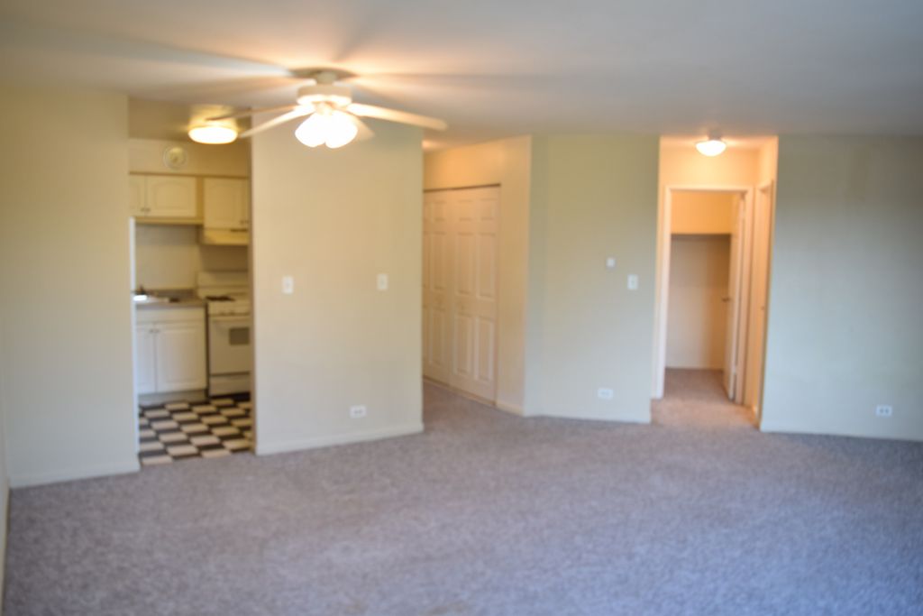1475 Rebecca Drive 210, Hoffman Estates, IL 60169 — photo 3