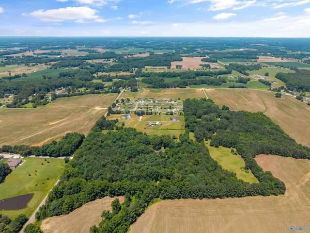 19000 Meadows Road, Athens, AL 35613
