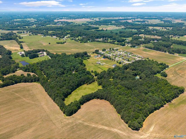 19000 Meadows Road, Athens, AL 35613