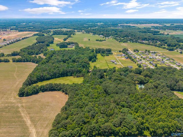 19000 Meadows Road, Athens, AL 35613
