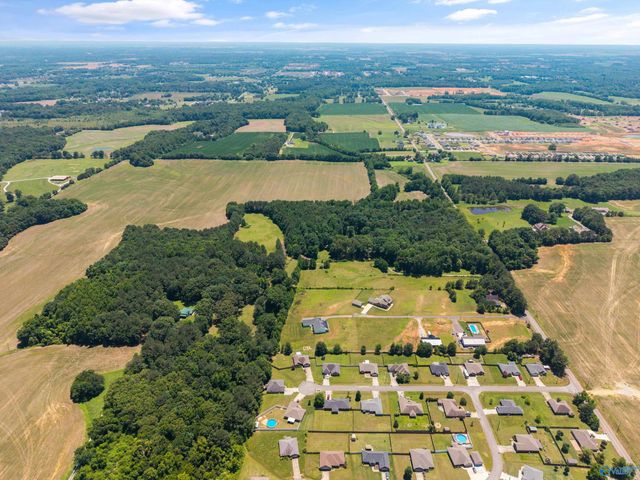 19000 Meadows Road, Athens, AL 35613