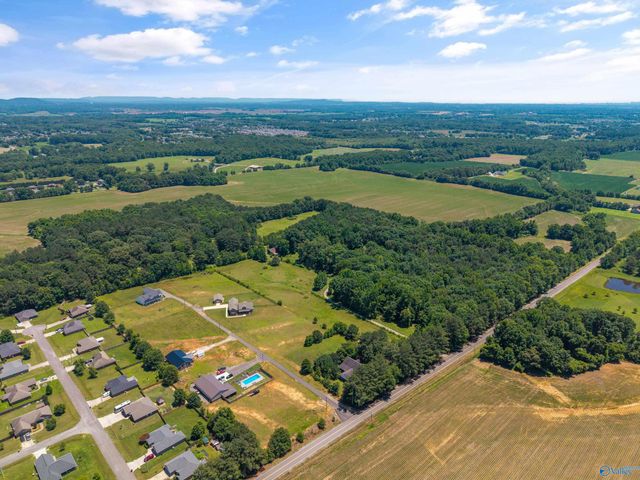 19000 Meadows Road, Athens, AL 35613