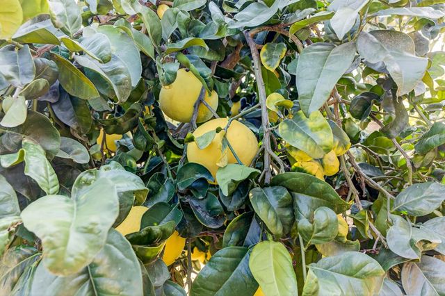 5830 Mariposa Ave, Citrus Heights, CA 95610