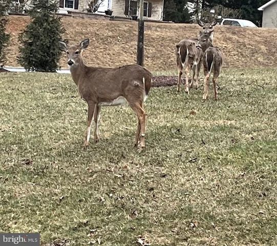 47 BLUE BIRD TRL, Fairfield, PA 17320