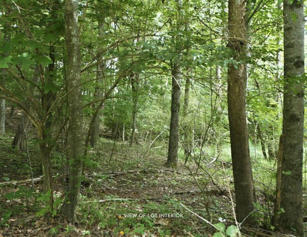 1418 Emerald Pointe Drive Lot 72, Soddy Daisy, TN 37379