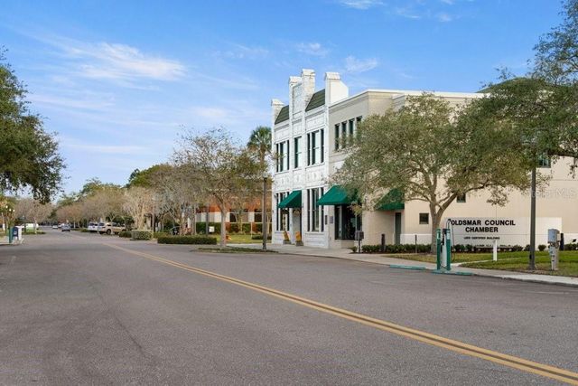 311 VISTA CRUISER LANE, Oldsmar, FL 34677