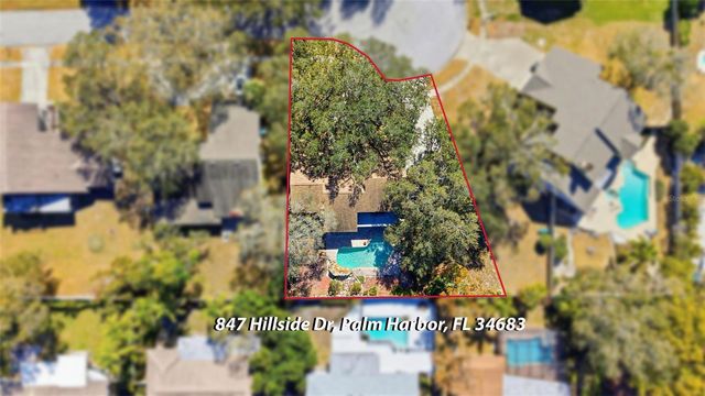 847 HILLSIDE DRIVE, Palm Harbor, FL 34683