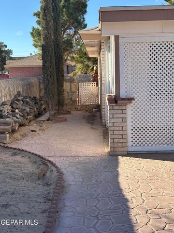 13981 VENY WEBB Street, Horizon City, TX 79928