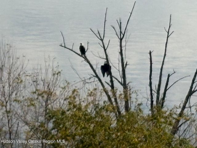 135 Hudson Street, Glasco, NY 12432