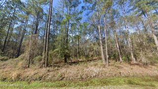 10675 DELGADO Avenue, Hastings, FL 32145