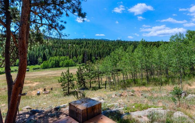 1820 Lazy Z Road A, Nederland, CO 80466
