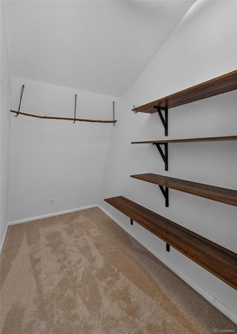 1820 Lazy Z Road A, Nederland, CO 80466