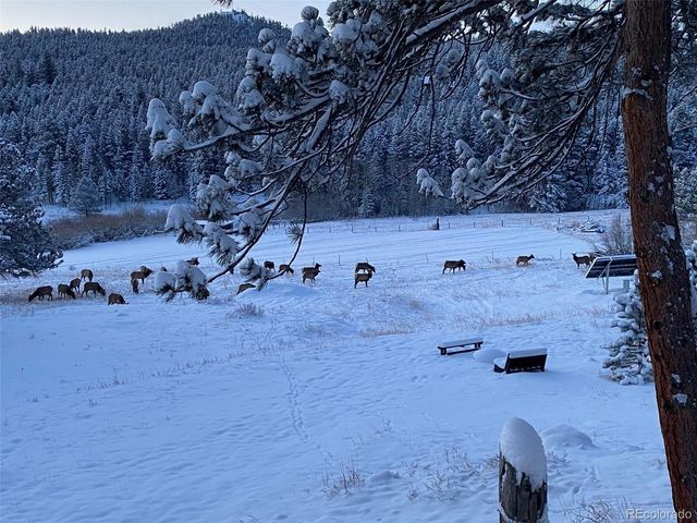 1820 Lazy Z Road A, Nederland, CO 80466