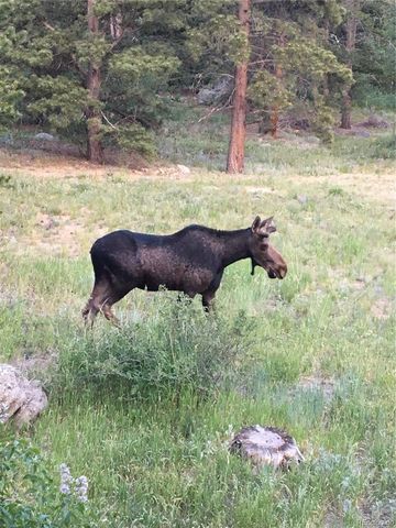 1820 Lazy Z Road A, Nederland, CO 80466
