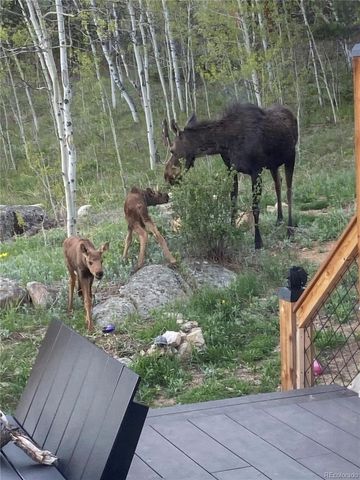 1820 Lazy Z Road A, Nederland, CO 80466