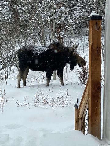 1820 Lazy Z Road A, Nederland, CO 80466