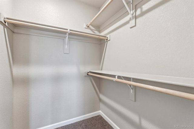 299 Shoveler Way, Johnstown, CO 80534