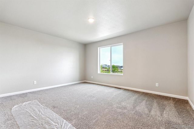 299 Shoveler Way, Johnstown, CO 80534