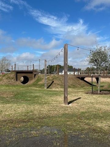 3847 Mulberry Farms Drive, Santa Fe, TX 77510