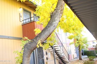 3198 Bristle Branch Drive, Sparks, NV 89434