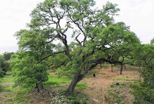 11916 Jim Bridger DR, Austin, TX 78737