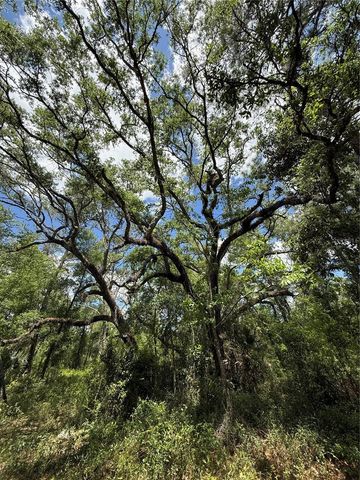 LEWIS LANE, Webster, FL 33597