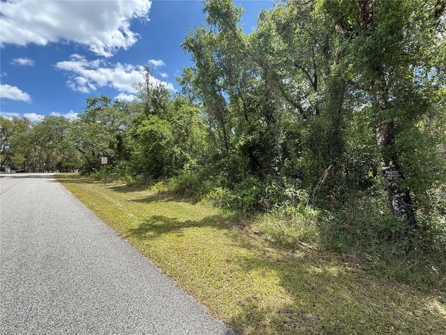 LEWIS LANE, Webster, FL 33597
