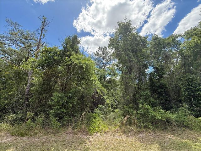 LEWIS LANE, Webster, FL 33597