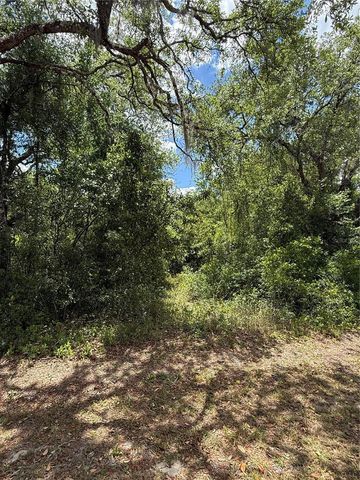 LEWIS LANE, Webster, FL 33597