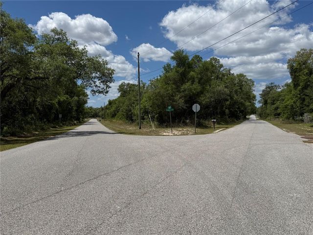 LEWIS LANE, Webster, FL 33597