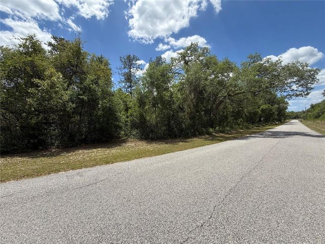 LEWIS LANE, Webster, FL 33597